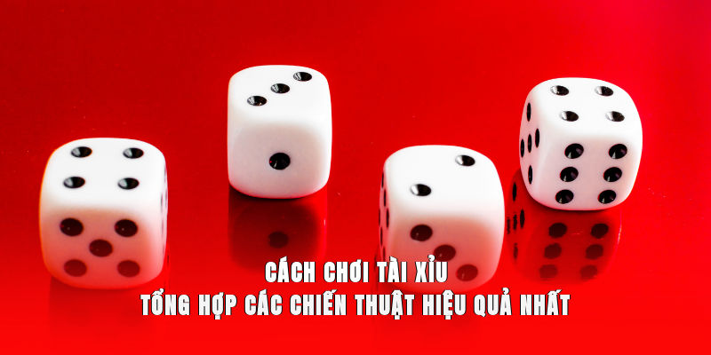 Cách Chơi Tài Xỉu - Tổng Hợp Các Chiến Thuật Hiệu Quả Nhất
