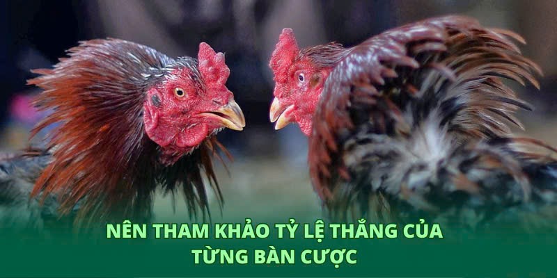Hãy tìm hiểu tỷ lệ thắng của từng bàn chơi 